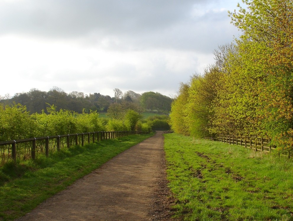 A bridleway in Shipley Country Park, Derbyshire - looking towards Shipley Hill photo by Grant Shaw