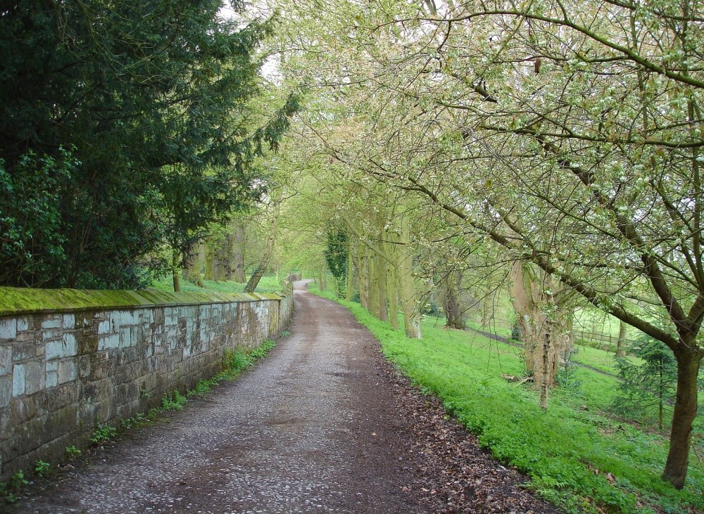 A picture of Shipley Country Park photo by Grant Shaw