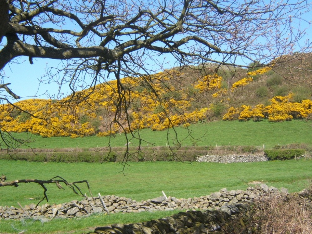 Photograph of Scene on the back lanes towards the Whicham valley from The Green, near Millom, Cumbria.