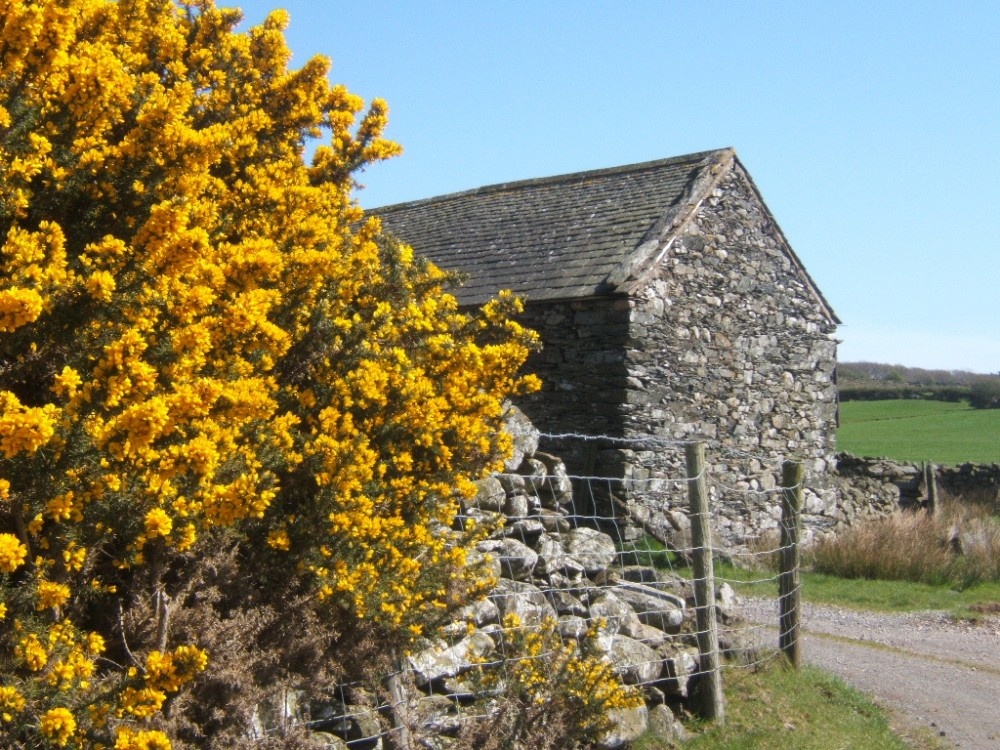 Photograph of Scene on the back lanes towards the Whicham valley from The Green, near Millom, Cumbria.