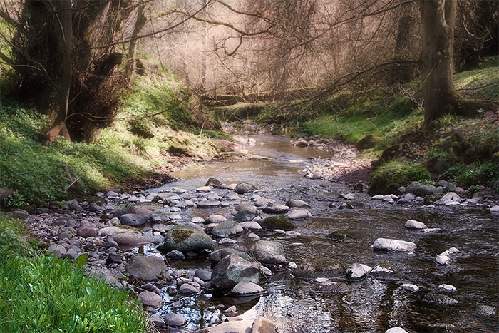 Stream near the Mill of Benholm, Aberdeenshire