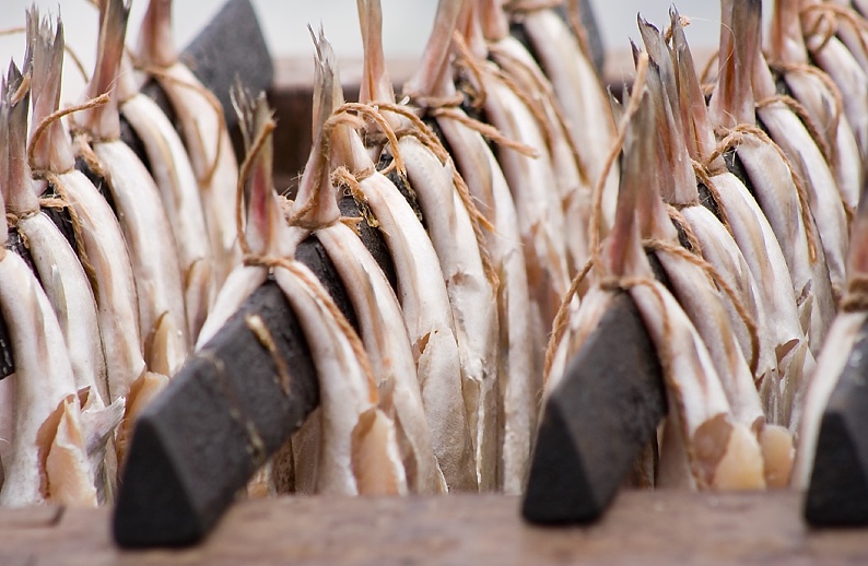 Photograph of Arbroath Smokies