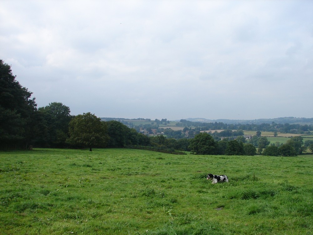 Everdon Meadows looking towards Badby. Pictures by David Graham Adkins, Chippenham, Wiltshire
