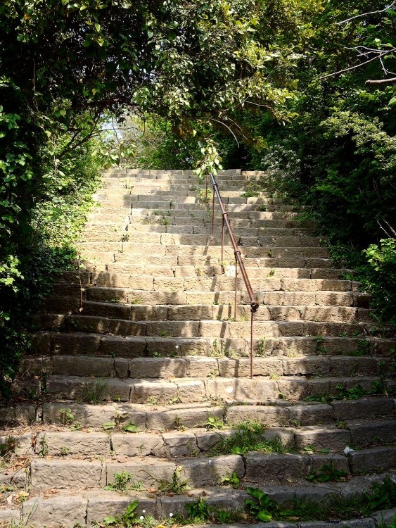 Steps up to Hilsea Ramparts. -  - Taken:  12th May 2006