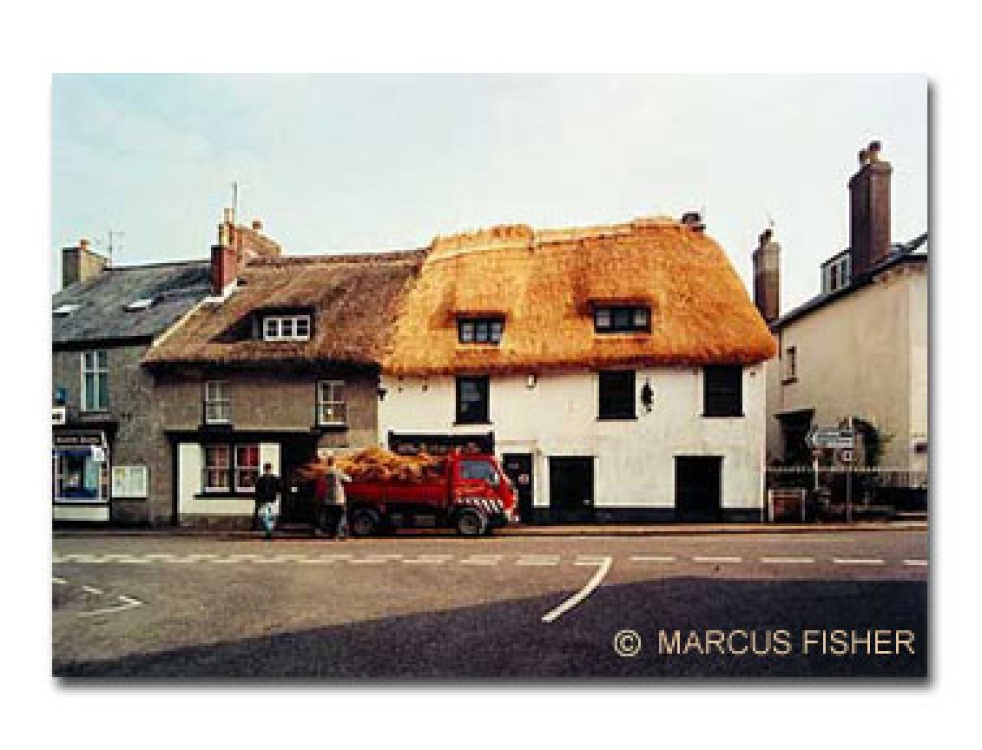 Old and new thatch in Moretonhampstead, Dartmoor, County Devon