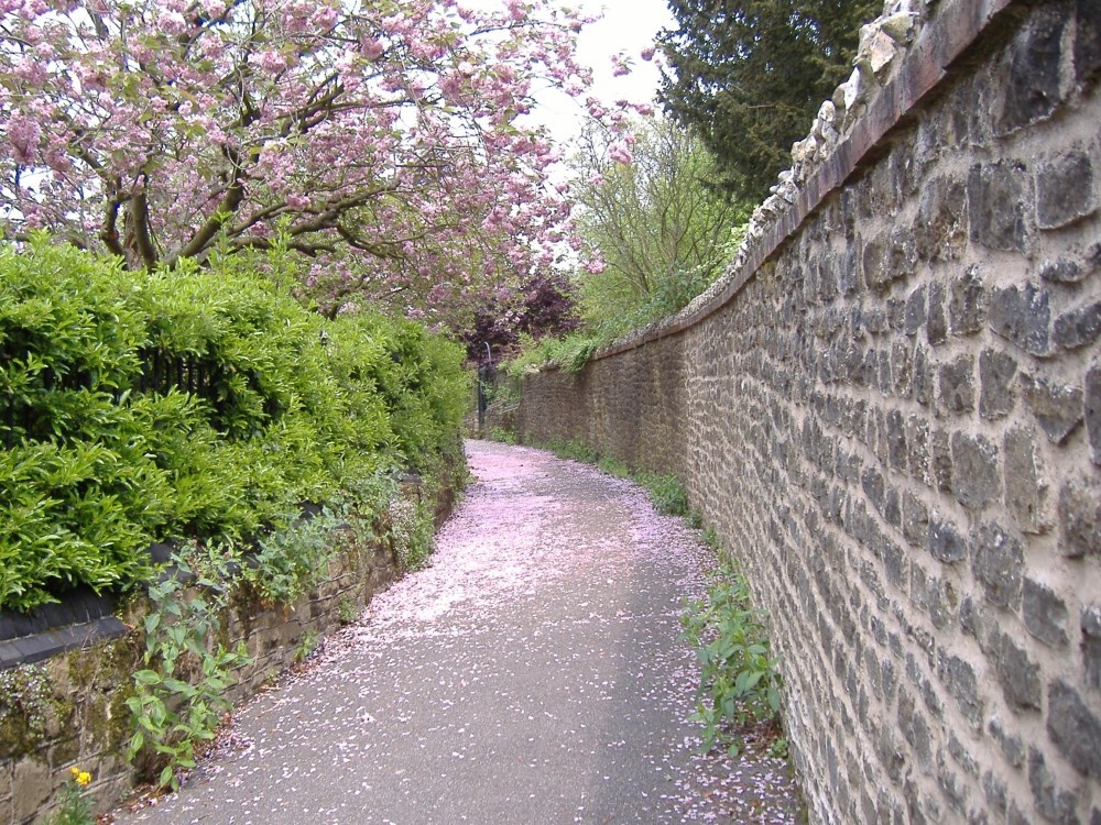 Guildford Palace - Garden Walkway