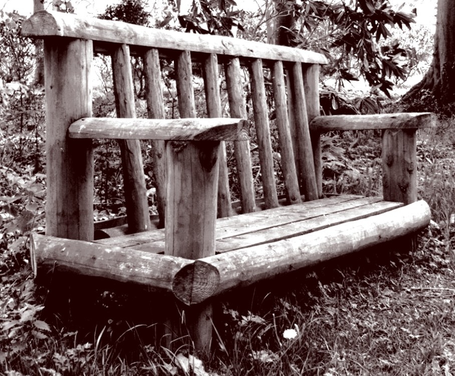 Bench in Stourhead Garden