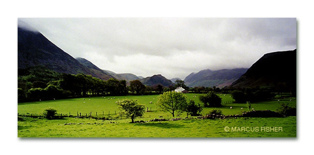 Sheep Farm in Foulsyke, Lake District, County Cumbria, England