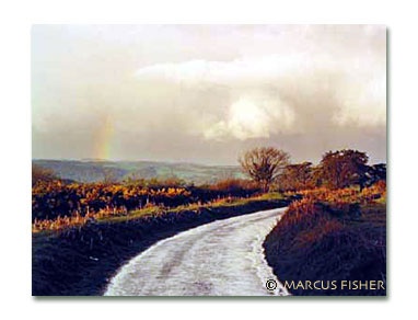 Road in Dartmoor, Hound Tor, Dartmoor, County Devon, England photo by Marcus Fisher