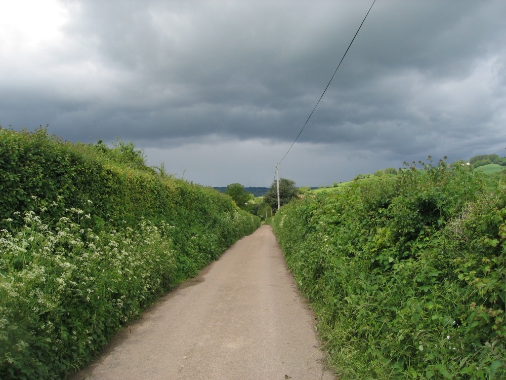 Photograph of Country lanes near Dalwood