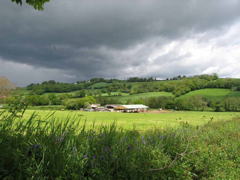 Dalwood, Devon. A Country farm