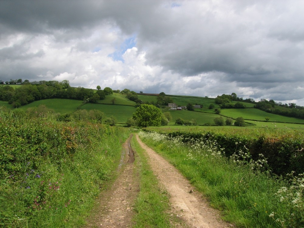 Devon Countryside, near Axminster