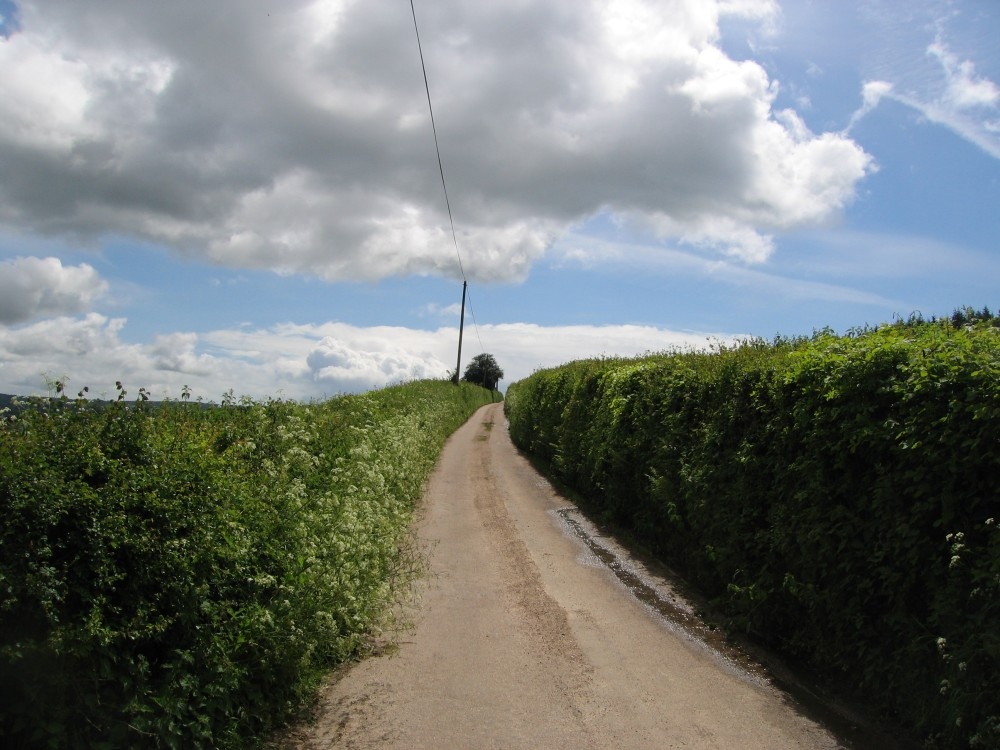 Photograph of Dalwood, Devon. Country lanes near to the village