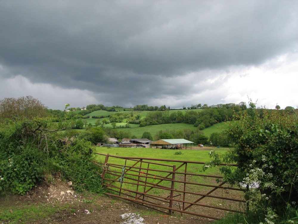 A farm in the Devon Countryside, near Axminster