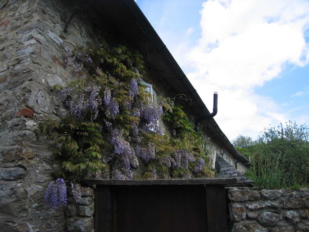 A building in the pretty village of Dalwood, Devon.