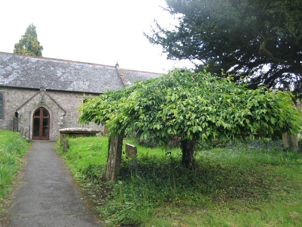 A picture of Dalwood