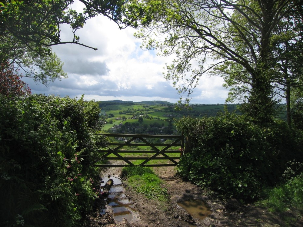 near the village of Dalwood, Devon