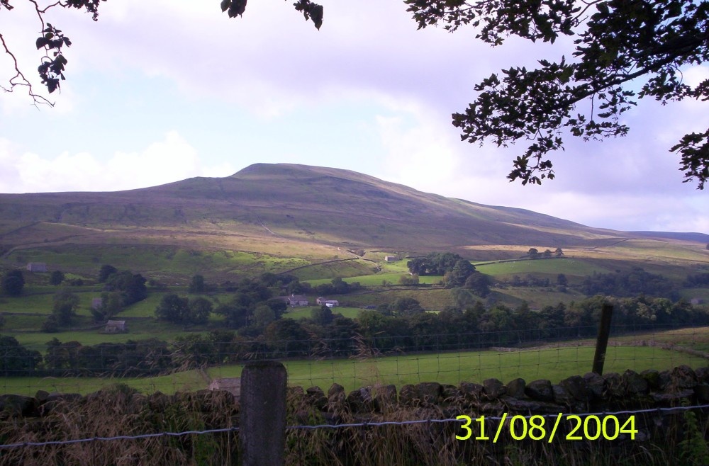 A view of Mid Mossdale from the A684.