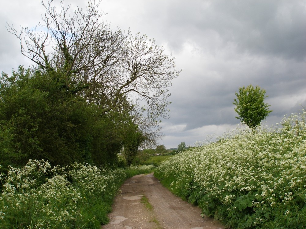 Mill Lane. Normanby-by-Spital. Lincolnshire