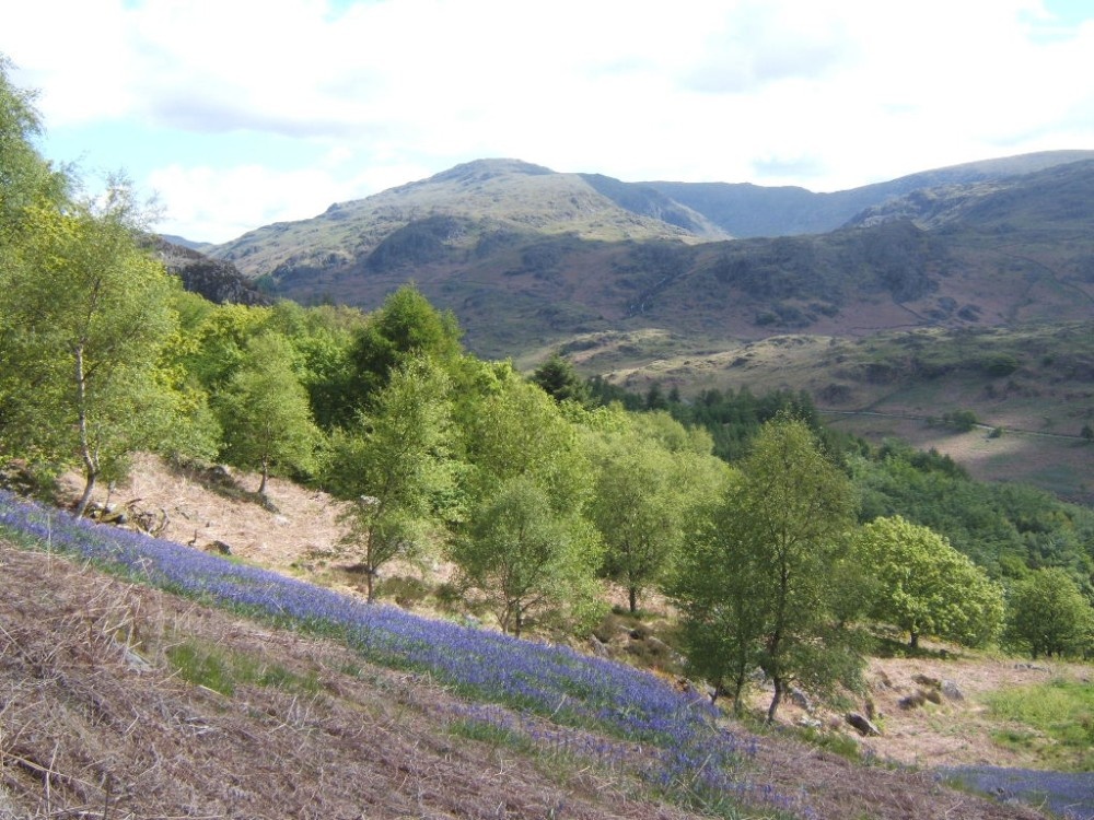 Photograph of Upper Duddon Valley between Seathwaite and Cockley beck, Cumbria