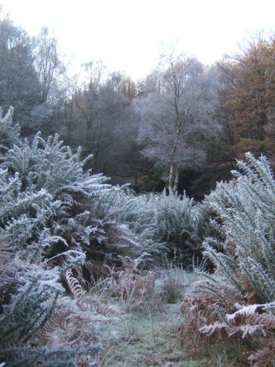 Frosty morning, Duddon Valley near Ulpha, Cumbria