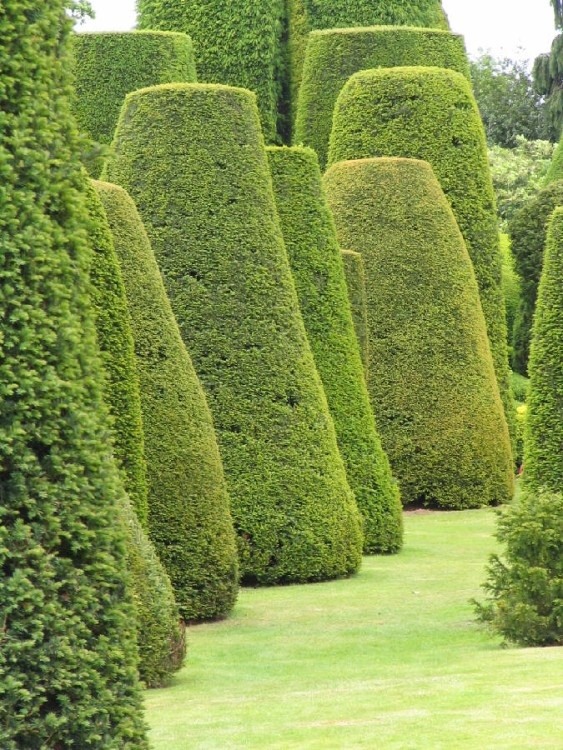 Packwood House, Warwickshire. The Yew Garden, often said to represent the Sermon on the Mount