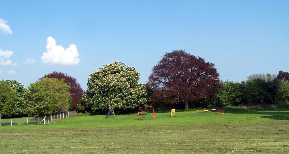 Cutnall Green park in Summer