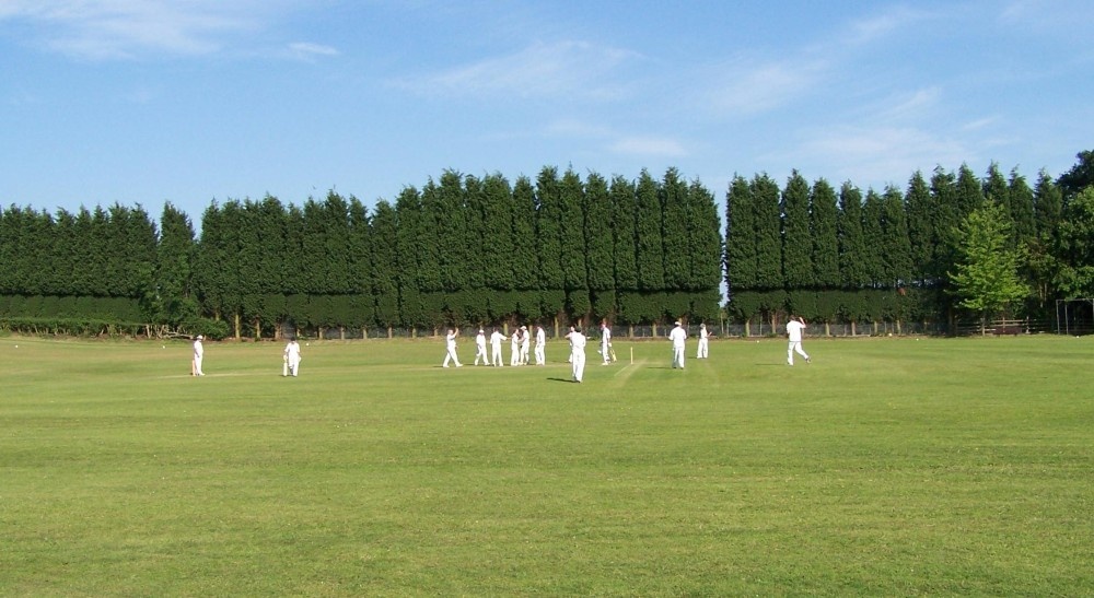 Photograph of the village at play. Cutnall Green, Worcestershire.