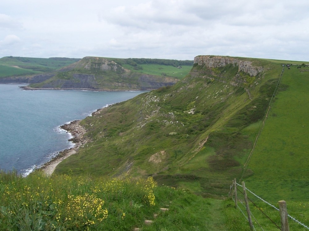 Coastal footpath between Swanage and Kimmeridge, Dorset in May.  Very steep, but beautiful.