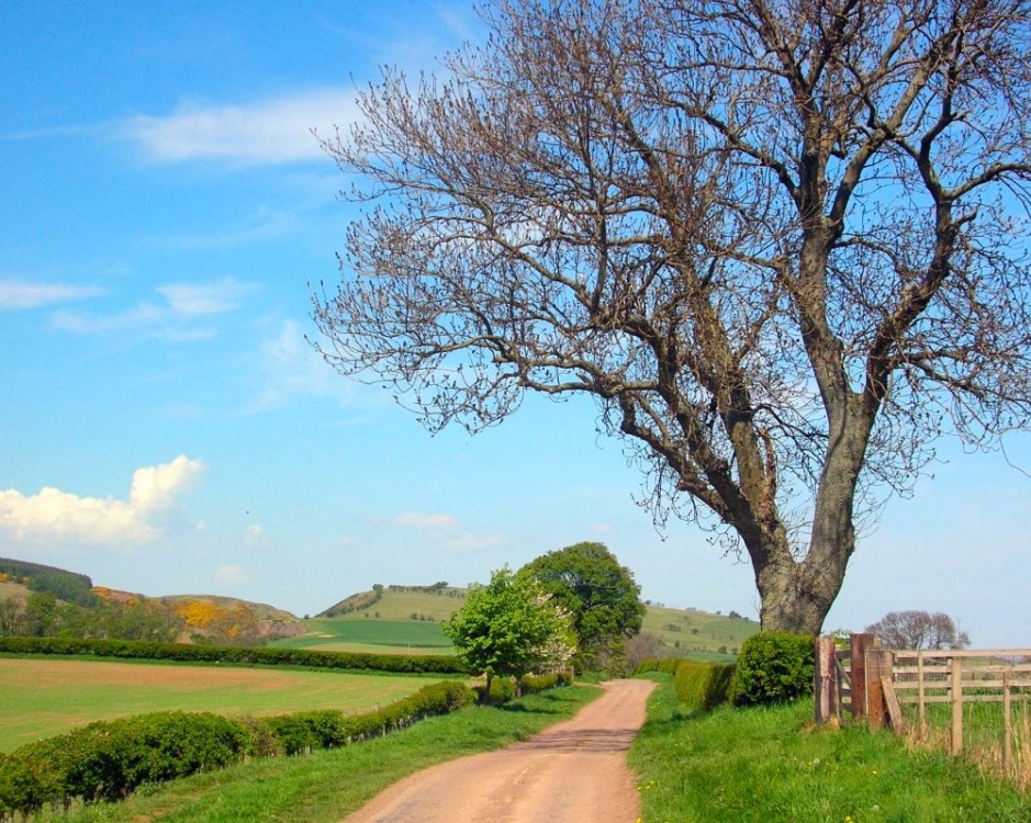 Photograph of a country road on the way to Hethpool, Northumberland.