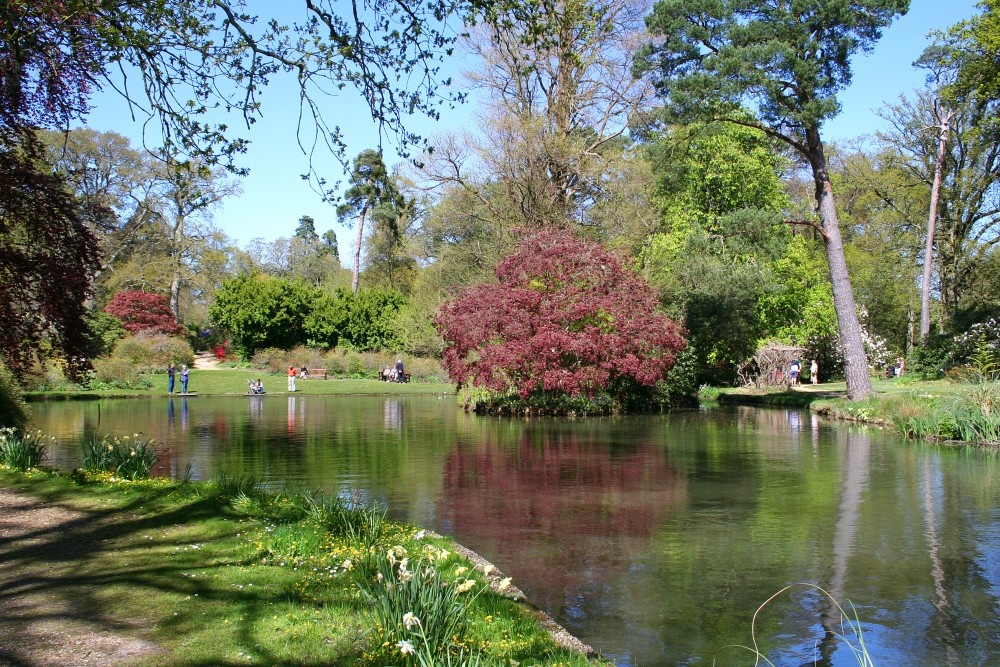 Photograph of Exbury Gardens, Hampshire