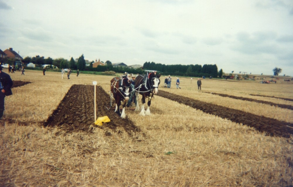 Ploughing Match at Brooksby College, Leicestershire