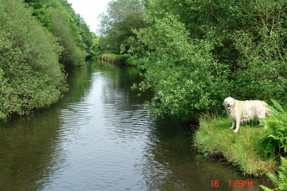 River near Meltham...Huddersfield, West Yorkshire, with 'Pebbles' on bank side.