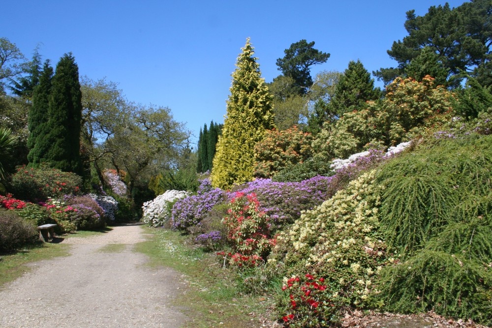 Photograph of Exbury Gardens, Exbury, Hampshire