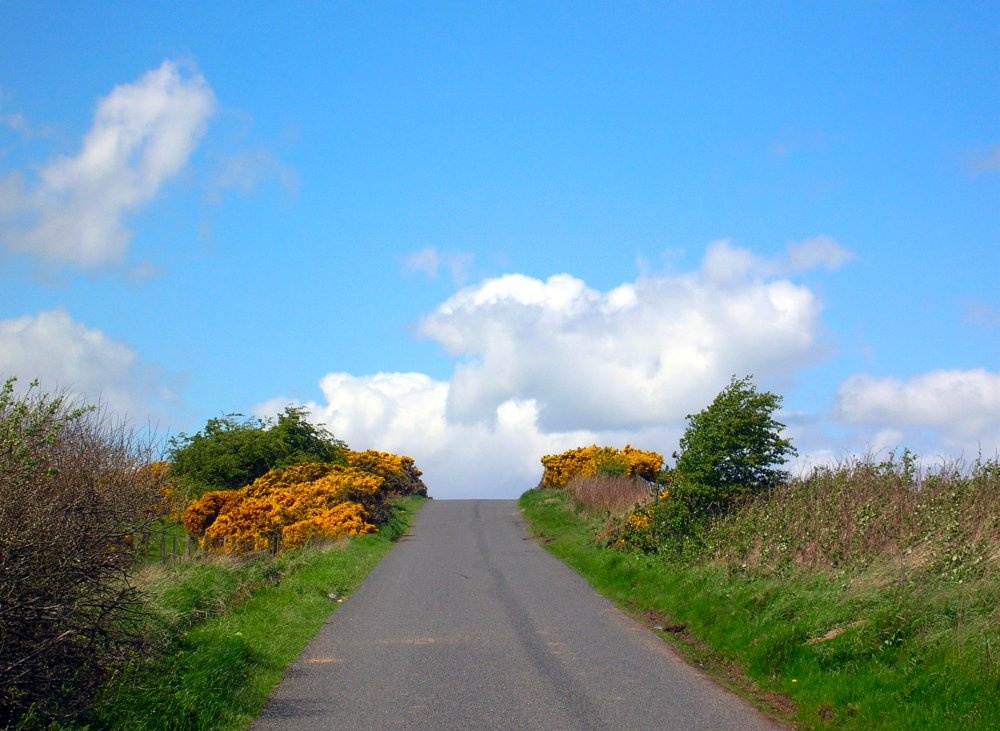 Photograph of Country road near Glanton Pyke, Northumberland.