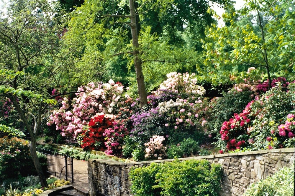 Shrewsbury - Dingle Gardens