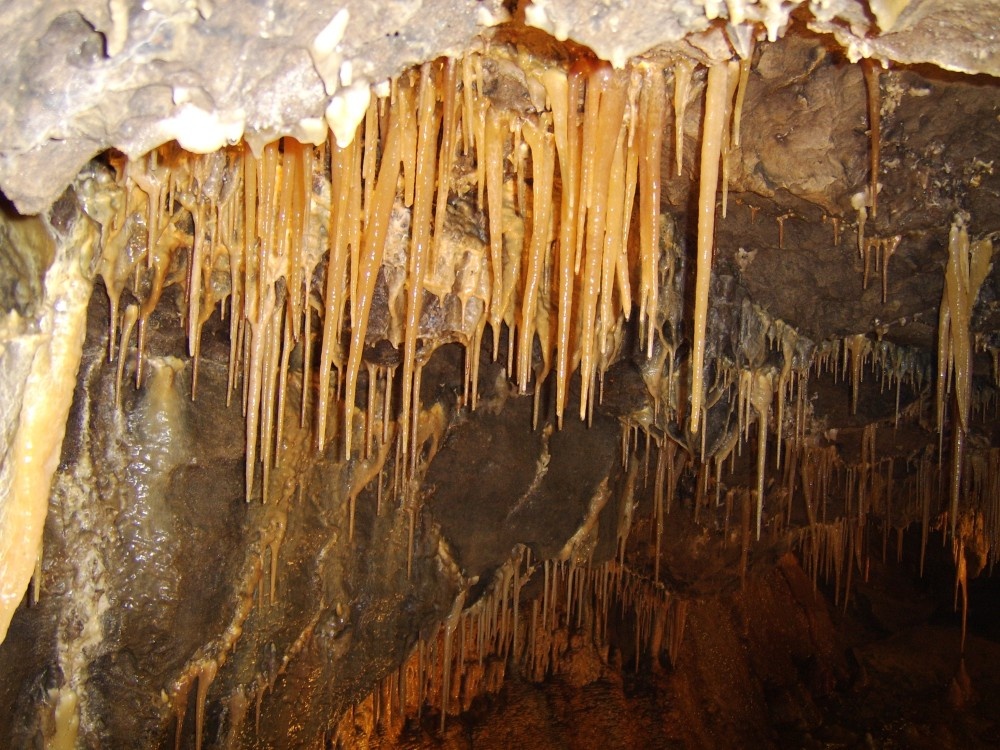 Stalagtites in Treak Cliff Cavern, Derbyshire, UK photo by Clare Thorpe