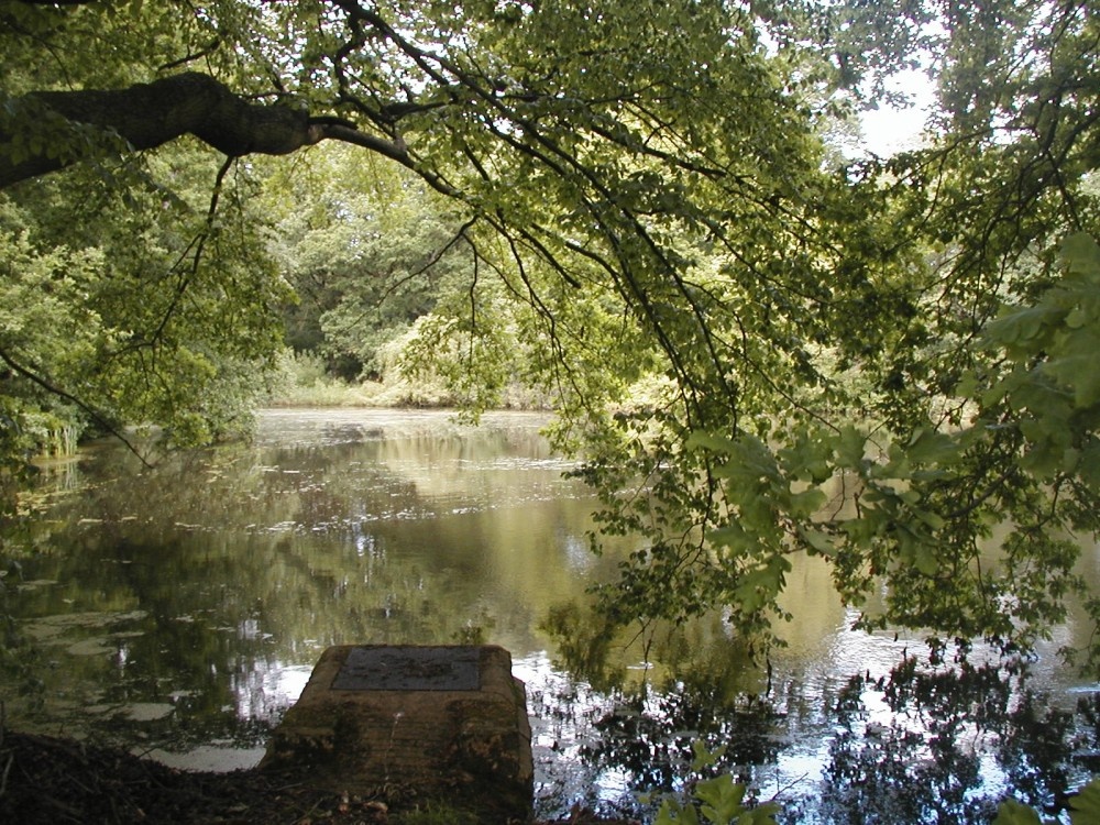 This is a photograph taken on Hampstead Heath on May 31, 2006 photo by David Baumann