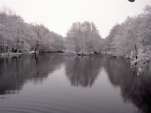 Millbrook Cottages Lake in High Bickington, Devon, during snow in November 2005