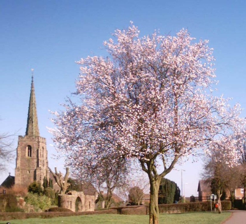 Photograph of Taken in the Hall Yard Park looking towards St Simon & St Judes Parish Church, Earl Shilton