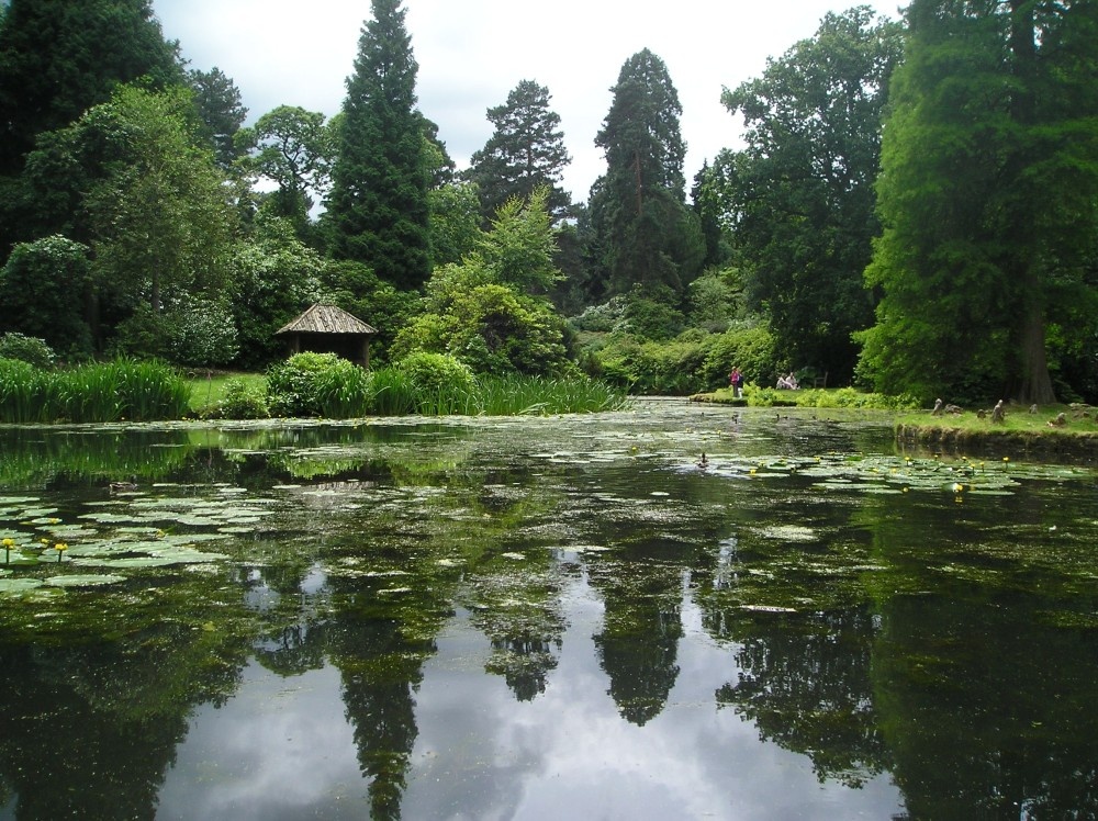 Japanese Gardens
Tatton Park, Cheshire