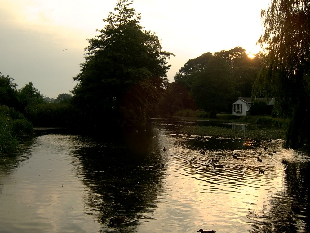 Fishbourne Duckpond near Chichester, West Sussex