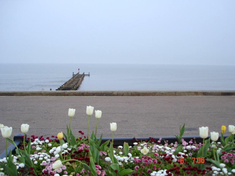 Lowestoft, Suffolk. 
Flowers at Sea front..