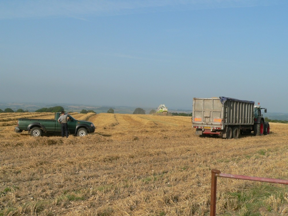 A combine harvesting in rural Somerset