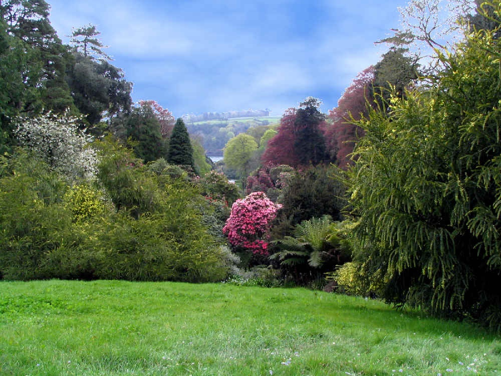 Trebah Garden, Cornwall. 
Looking down the valley from below the house. photo by Barry