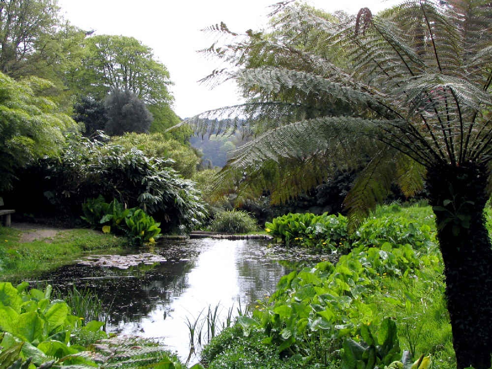 Trebah Garden, Cornwall photo by Barry
