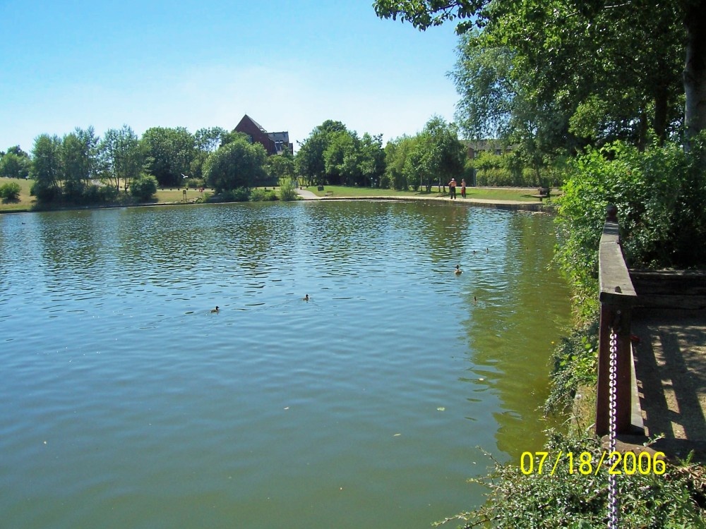 "Vale Head Park, Hemsworth, West Yorkshire" by Mrs Jean Hawkins at