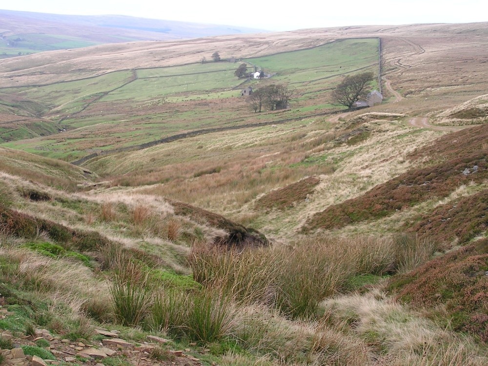 Photograph of Countryside near Allendale, Northumberland