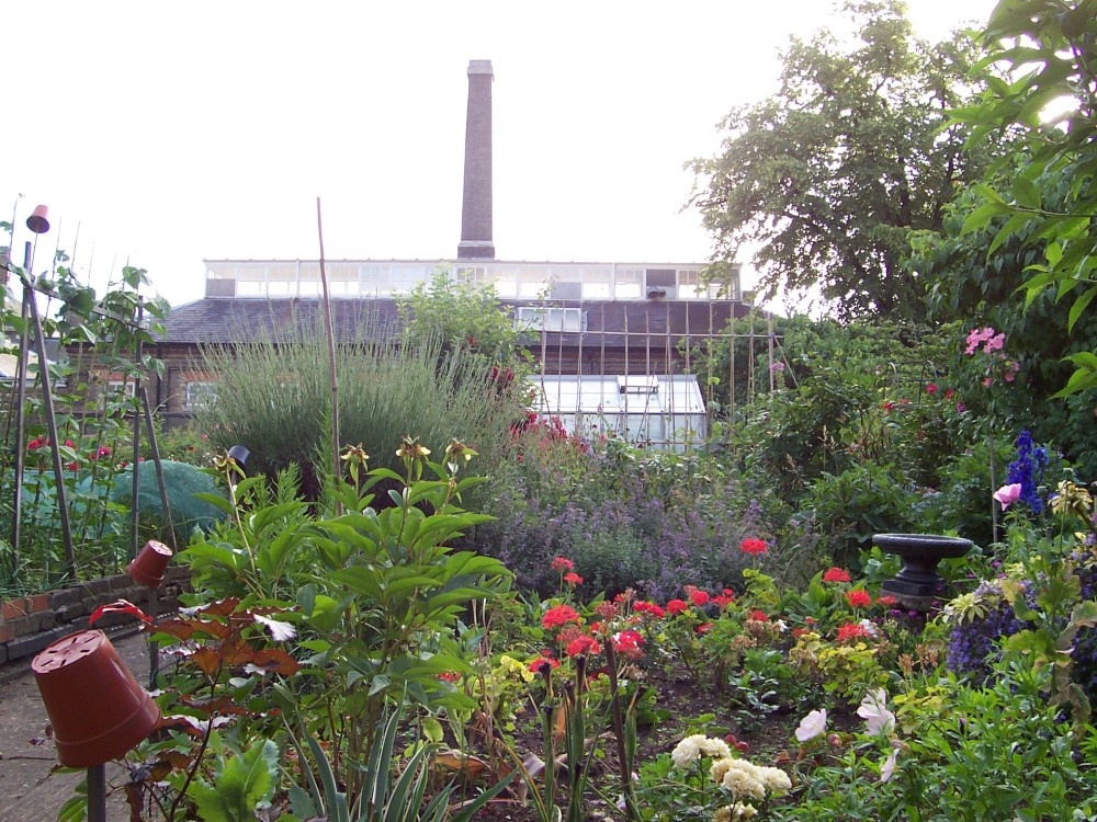 Allotment garden, Royal Hospital, Chelsea