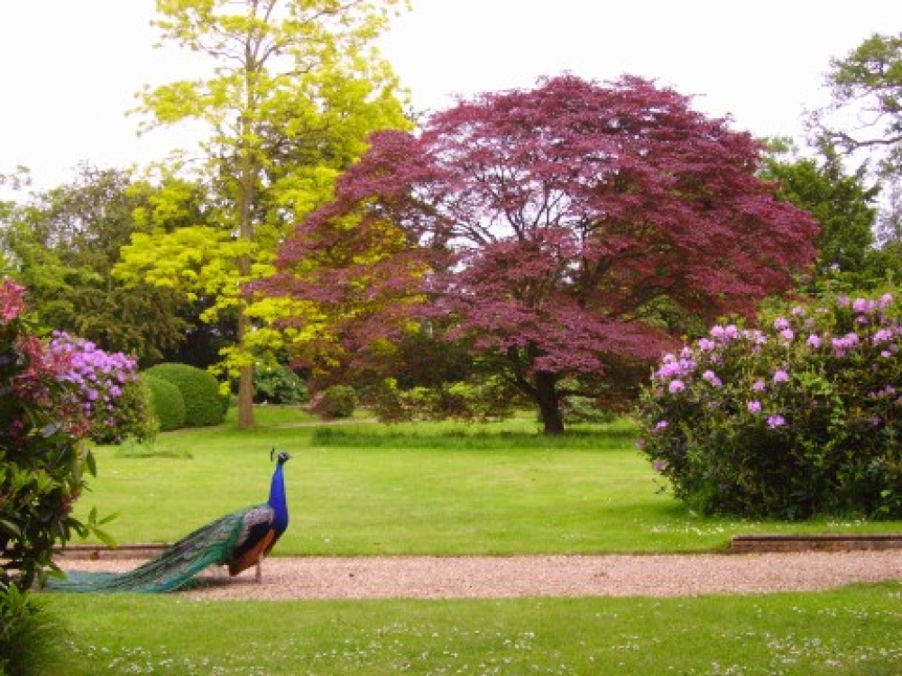 Photograph of The Swiss Garden, Old Warden, Bedfordshire
June 2006